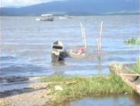 Só rindo pra não chorar (muito engraçado mesmo)