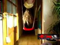 TOP 5 MOST FUNNY VIDEOS OF 2013