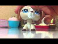 WierdLps Subscribers Vid#1