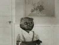 Bruno Aleixo na Escola - Ep. 11 - O Director