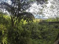 Costa Rica Zip Lines - Kelly&Brian