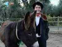 GATO FEDORENTO - Petróleo no Alentejo