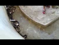 O pior emprego do mundo!