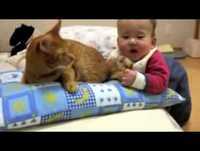 The Most Patient Cat Ever