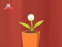 Cornelia Music Video