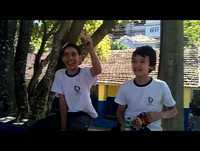 jornal do cadu e companhia *1