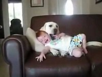 Nunca deixe um bebê perto de cachorro! (show de bola)