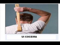 True color - tradução para rir muito