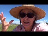 REINCARNATION, THE LAW OF KARMA, AND GOD'S SENSE OF HUMOR