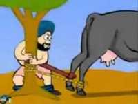 The Cow  !  Funny video to whatsapp , facebook , google + Plus