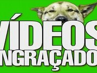 Videos Engraçados Para RIR 2015 - Morra de RIR Videos do WhatsApp 2015!