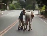 Bêbado Tentando Subir No Cavalo! Muito Engraçado! Vídeos Engraçados 2014
