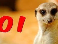 Invasão No Campo de Futebol e Rally