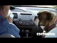 Videos engraçados - Melhores videos engraçados 2014 Videos para rir Videos mais engraçados 2014