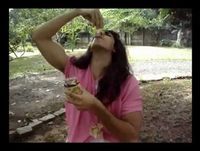 HUMOR: Damares - Sabor de Mel