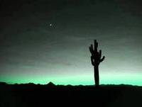 Pand'or - Le Cactus (Prod Clem Beat'z)