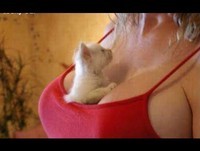 CAT FAILS VIDEO COMPILATION 2013