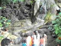 Fail Compilation May 2012 || TNL