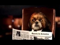 O Programa do Aleixo Temporada 2  _  Episodio 2