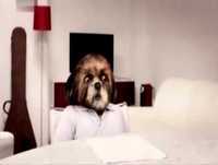 Bruno Aleixo entrevista Roberta Medina