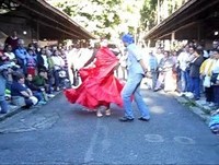 Companhia Magia da Dança, Festa do morango