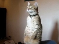 Funny Video Fails Compilation - Funny Fail Videos