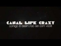 maus tratos a animais