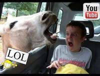 Videos Engraçados os melhores SUSTOS de 2013 Edição 2