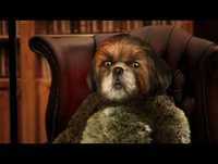 7 Artes - Cinema - Bruno Aleixo