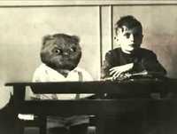 Bruno Aleixo Na Escola 06- As Janeiras