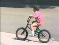 Caidas - Golpes - Risa - Funny - Animals - Bloopers (2)