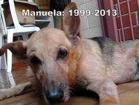 Eutanásia: o último dia da Manu