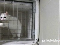 Funny Videos Fails fun Compilation ✔ Подборка лучших ПРИКОЛОВ 2014 ✔