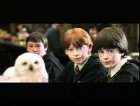 Harry Potter e a Pedra Filosofia cena cortada