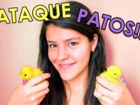 Patos atacando mulheres | Videos engraçados de sustos, Videos engraçados, melhores brincadeiras