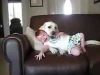 Bebê Perto de Cachorro, Muito Engraçado.