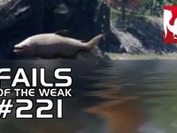 Fails of the Weak - Volume 221