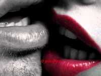 O Tal Casal - Vanessa da Mata