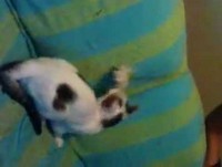 bilyy pega flor kkkk