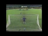 Botafogo: Grandes Ídolos / Sérgio Manoel - 1999