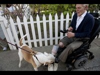 Jackass Presents: Bad Grandpa - Imagens do TRAILER (HD)