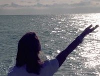 NO VOY  A DECIRTE ADIOS (ALFAREROS)