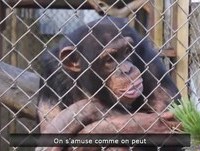 Os Melhores videos engraçados 2013 pegadinhas video cassetadas 2013 sustos acidentes videos de rir