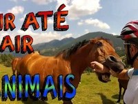 RIR ATÉ CAIR - ANIMAIS VÍDEOS MAIS ENGRAÇADOS DA INTERNET