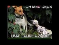 Só para rir...Imagens engraçadissimas