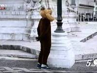 "Animais à Solta" - Pedro Fernandes - 5 Para a Meia Noite