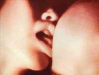 Caia - Heavy Weather