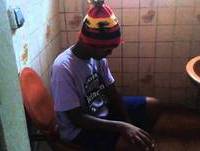 DIARIO DE UM FEDORENTO