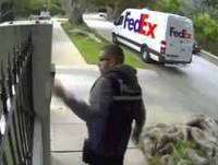 Shocking FedEx Delivery Fails [Super Cut Compilation]
