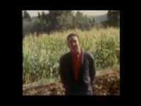 TV Rural Sousa Veloso